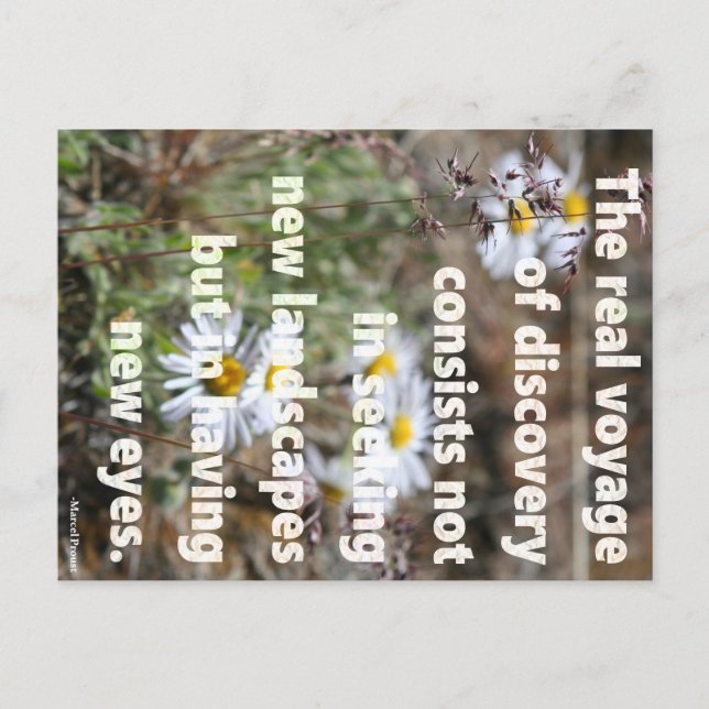 Cartão Postal Olhos Novos (Frente)