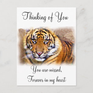 Cartão Postal Olhos Que Veem_