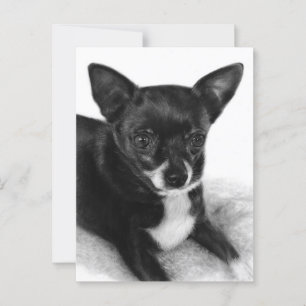 Cartão Postal Olhos Suaves - Arte Chihuahua Pintada À Mão