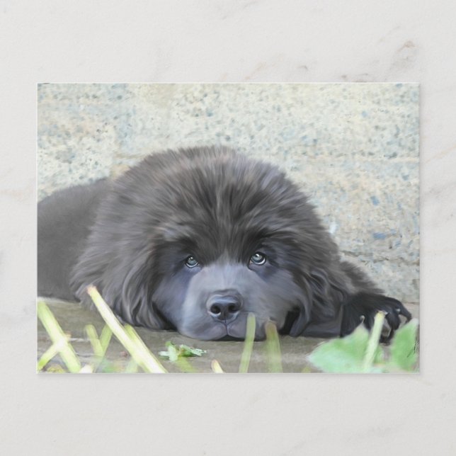 Cartão Postal Olhos Tristes (Frente)