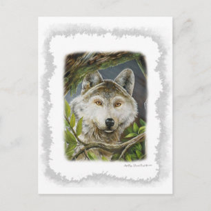 Cartão Postal Olhos Vigiosos