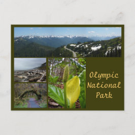 Cartão Postal Olimpiadas N.P. (Furacão Ridge, Kalaloch, Hoh)