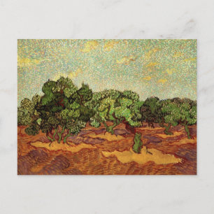 Cartão Postal Olive Grove, céu azul pálido de Vincent van Gogh