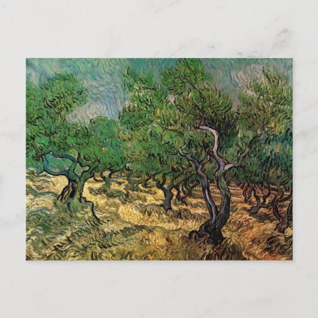 Cartão Postal Olive Grove de Vincent van Gogh (Frente)