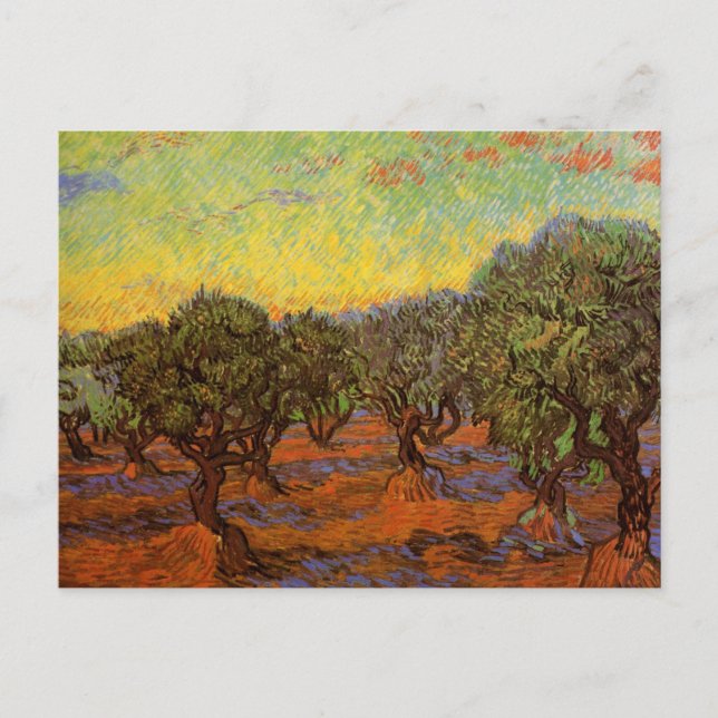 Cartão Postal Olive Grove, Orange Sky, por Vincent van Gogh (Frente)