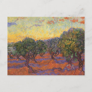 Cartão Postal Olive Grove, Orange Sky, por Vincent van Gogh