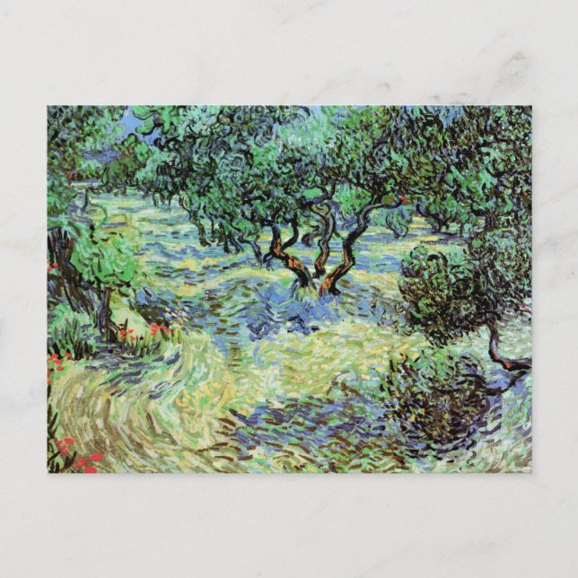 Cartão Postal Olive Grove, Vincent van Gogh (Frente)