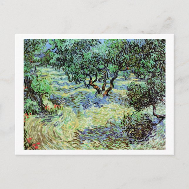 Cartão Postal Olive Grove, Vincent van Gogh Fine Art (Frente)