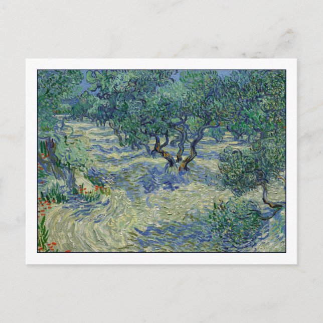 Cartão Postal Olive Orchard por van Gogh (Frente)