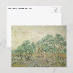 Cartão Postal Olive Picting por Vincent van Gogh, Vintage Art