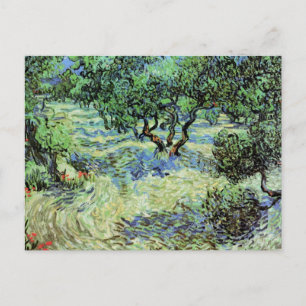 Cartão Postal Oliveiral por Vincent van Gogh