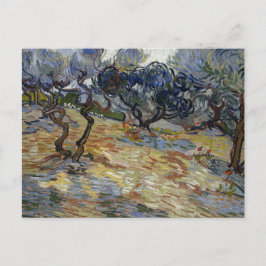 Cartão Postal Oliveiras por Vincent Van Gogh
