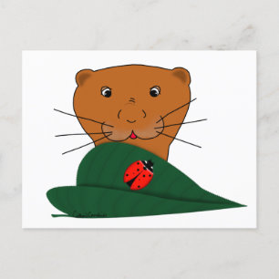 Cartão Postal Oliver A Lontra Estuda uma Joaninha