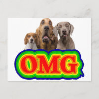 OMG Rainbow com cães surpreendidos!