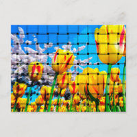 Onda de Tulipas Amarelo