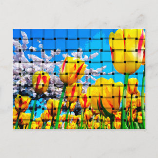Cartão Postal Onda de Tulipas Amarelo