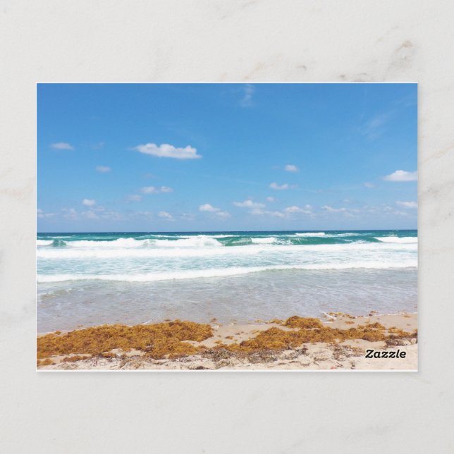 Cartão Postal Ondas do Céu Azul Brilhante Lavando na Costa (Verso)