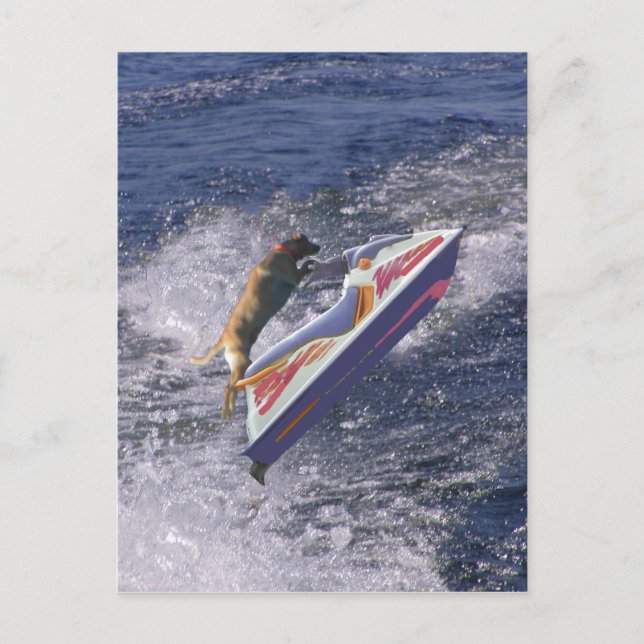 Cartão Postal Ondas legal de Pulso do Laboratório (Frente)