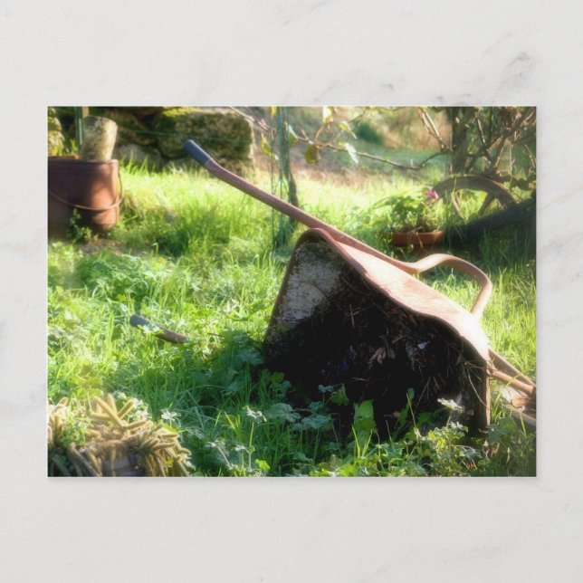 Cartão Postal Onde está Peter Rabbit? (Frente)