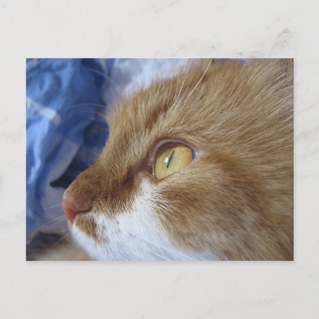 Cartão Postal Onde você está olhando? (Frente)