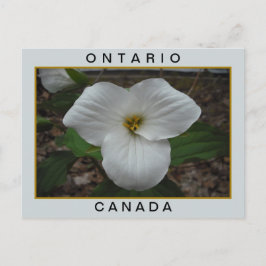 Cartão Postal Ontário, Canadá Trillium