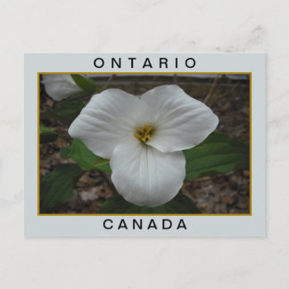 Cartão Postal Ontário, Canadá Trillium