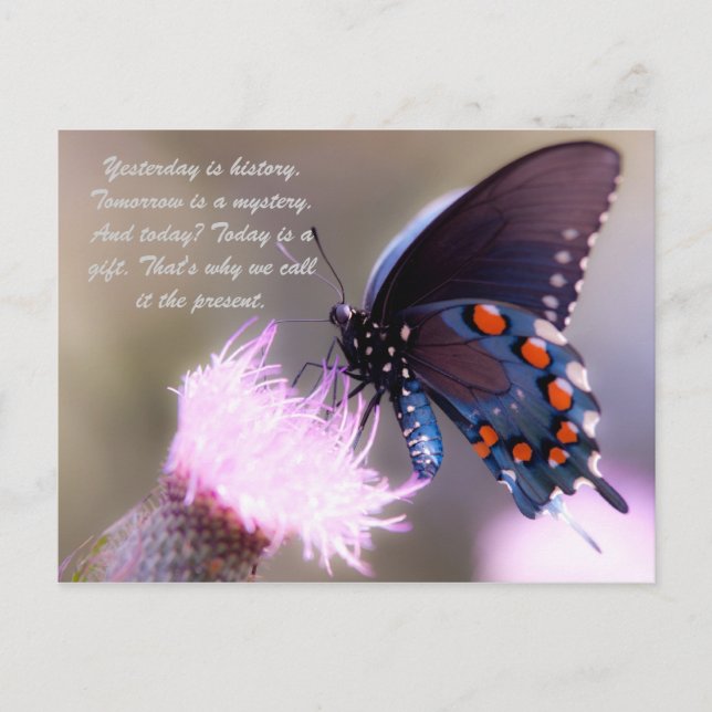 Cartão Postal Ontem é história. Amanhã é um mistério. E t (Frente)