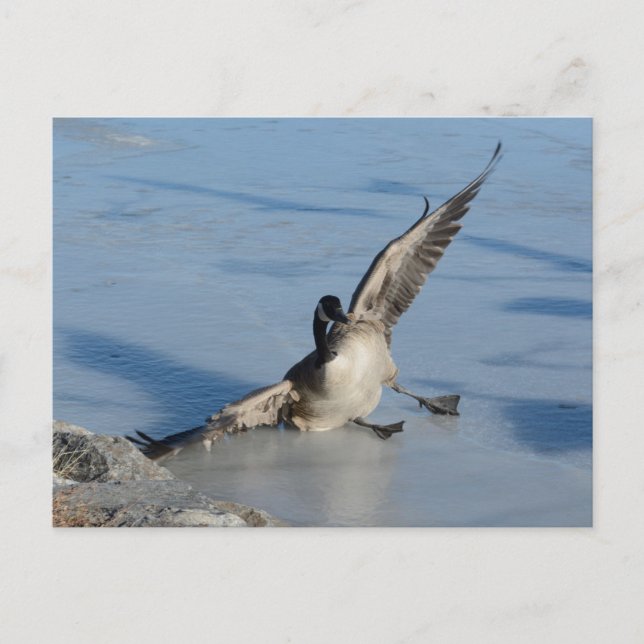 Cartão Postal Oops! (Frente)