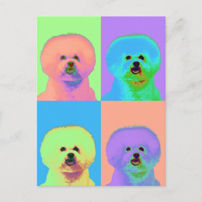 Cartão Postal Op Art - Bichon Frise - Cody (Frente)