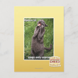Cartão Postal Ópera Cat
