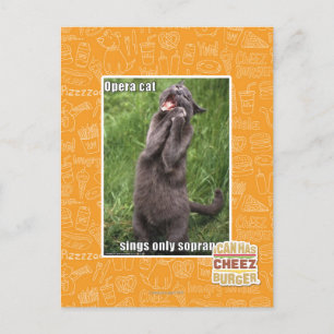 Cartão Postal Ópera Cat