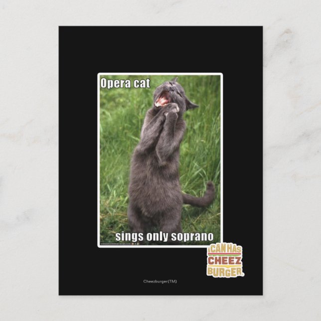 Cartão Postal Ópera Cat (Frente)