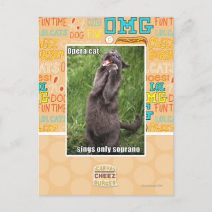 Cartão Postal Opera Cat