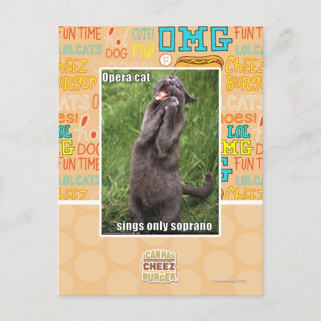 Cartão Postal Opera Cat (Frente)