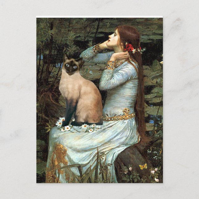 Cartão Postal Ophelia - Foca-Cola Gato Siamês (Frente)