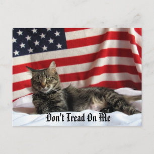 Cartão Postal Opinião Política de Nia