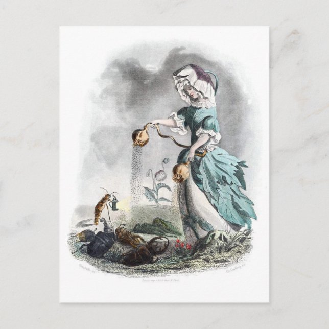 Cartão Postal Ópio (Frente)