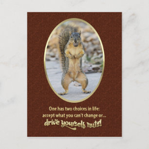 Cartão Postal Oração da Serenidade em uma casca