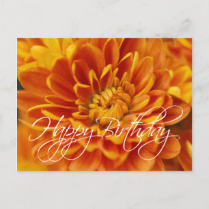 Cartão Postal Orange Chrysanthemum Happy Birthday
