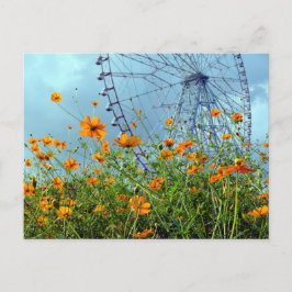 Cartão Postal Orange Cosmos Flowers & Ferris Wheel: Tóquio Postc