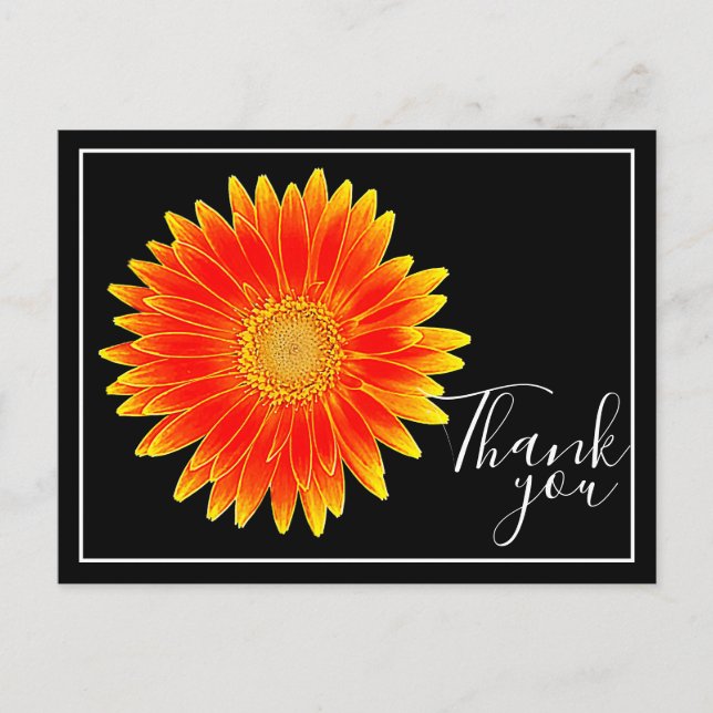 Cartão Postal Orange Daisy Flower Black Background Obrigado (Frente)