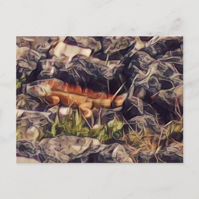 Cartão Postal Orange Guana Art (Frente)