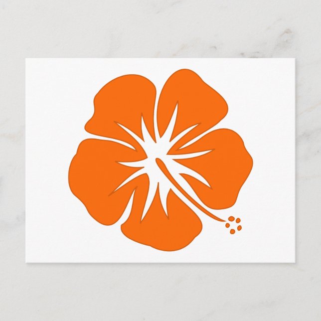 Cartão Postal Orange Hibiscus (Frente)