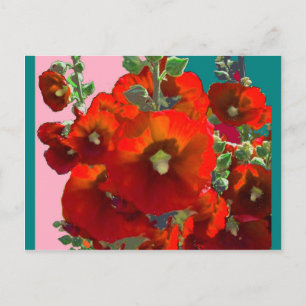 Cartão Postal Orange Hollyhock Garden Gifts