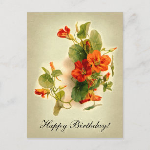 Cartão Postal Orange Indian Cress