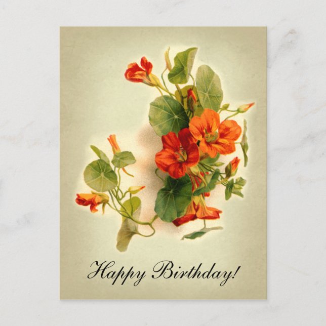 Cartão Postal Orange Indian Cress (Frente)