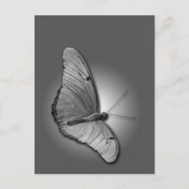 Cartão Postal Orange Julia (Frente)