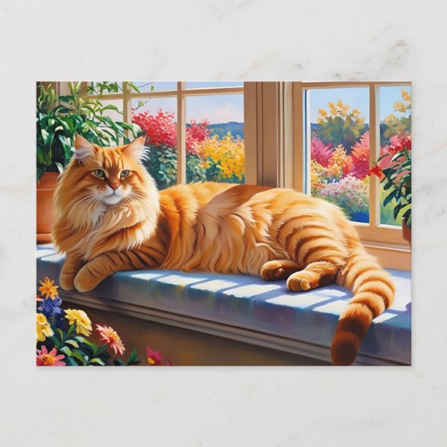 Cartão Postal Orange Maine Coon Cat (Frente)