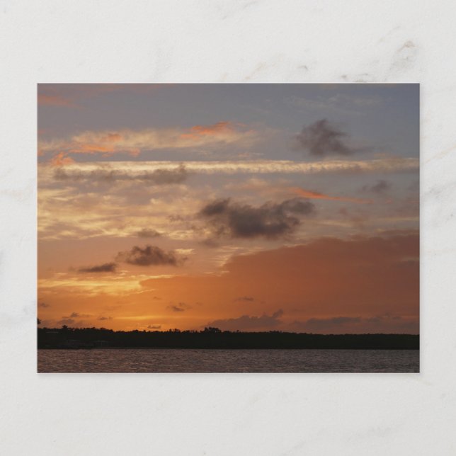 Cartão Postal Orange Sky After Sunset (Céu Laranja Depois do Sol (Frente)