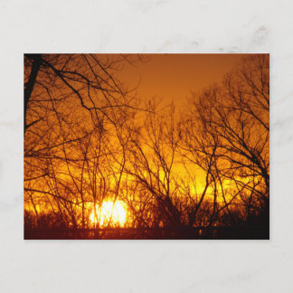 CARTÃO POSTAL ORANGE SUNSET